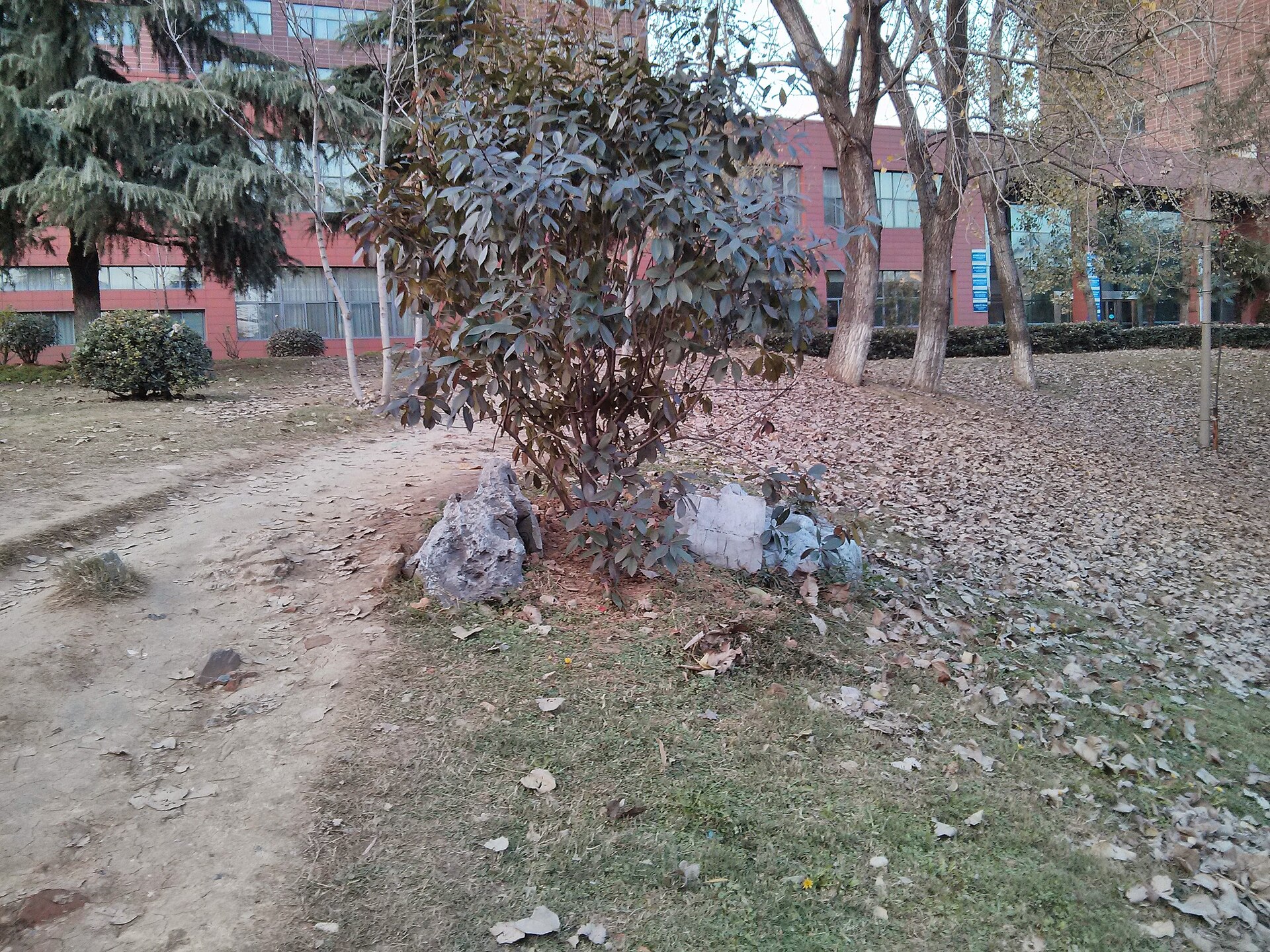 Anhui photo 1