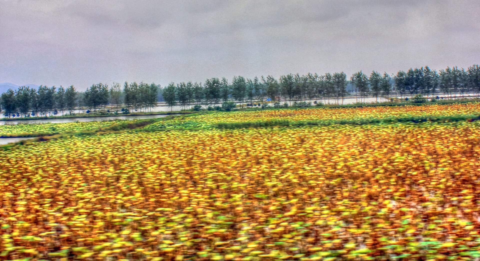 Anhui photo 6