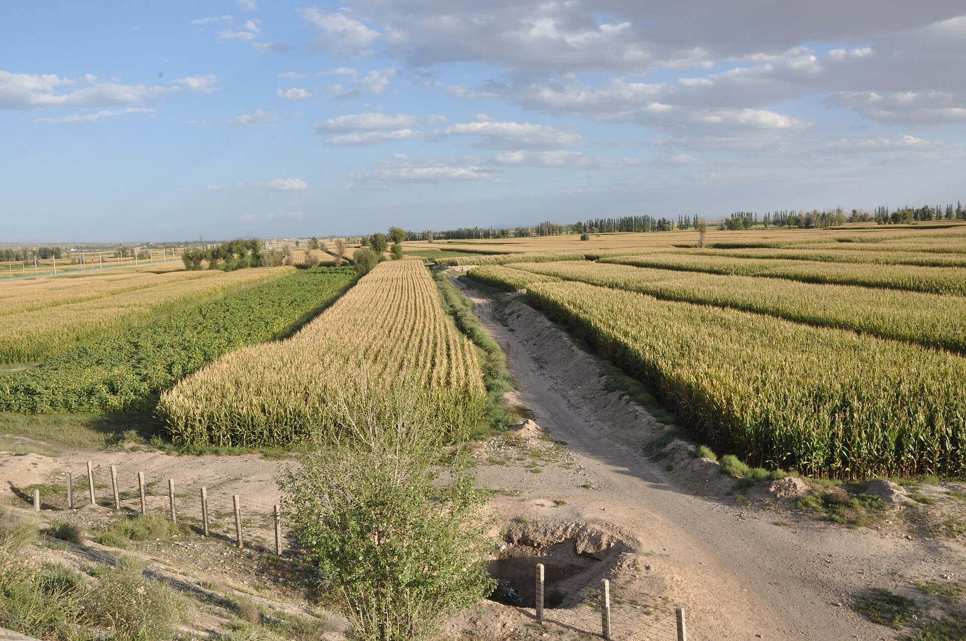 Gansu photo 1