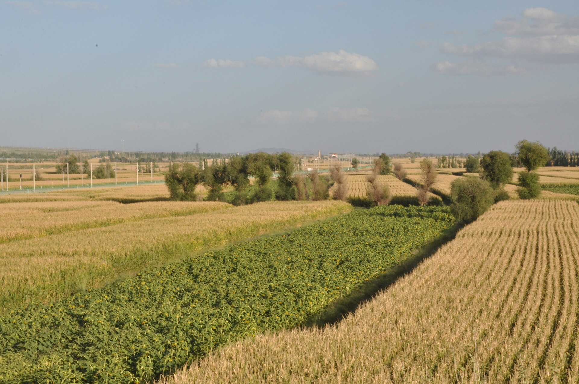 Gansu photo 2