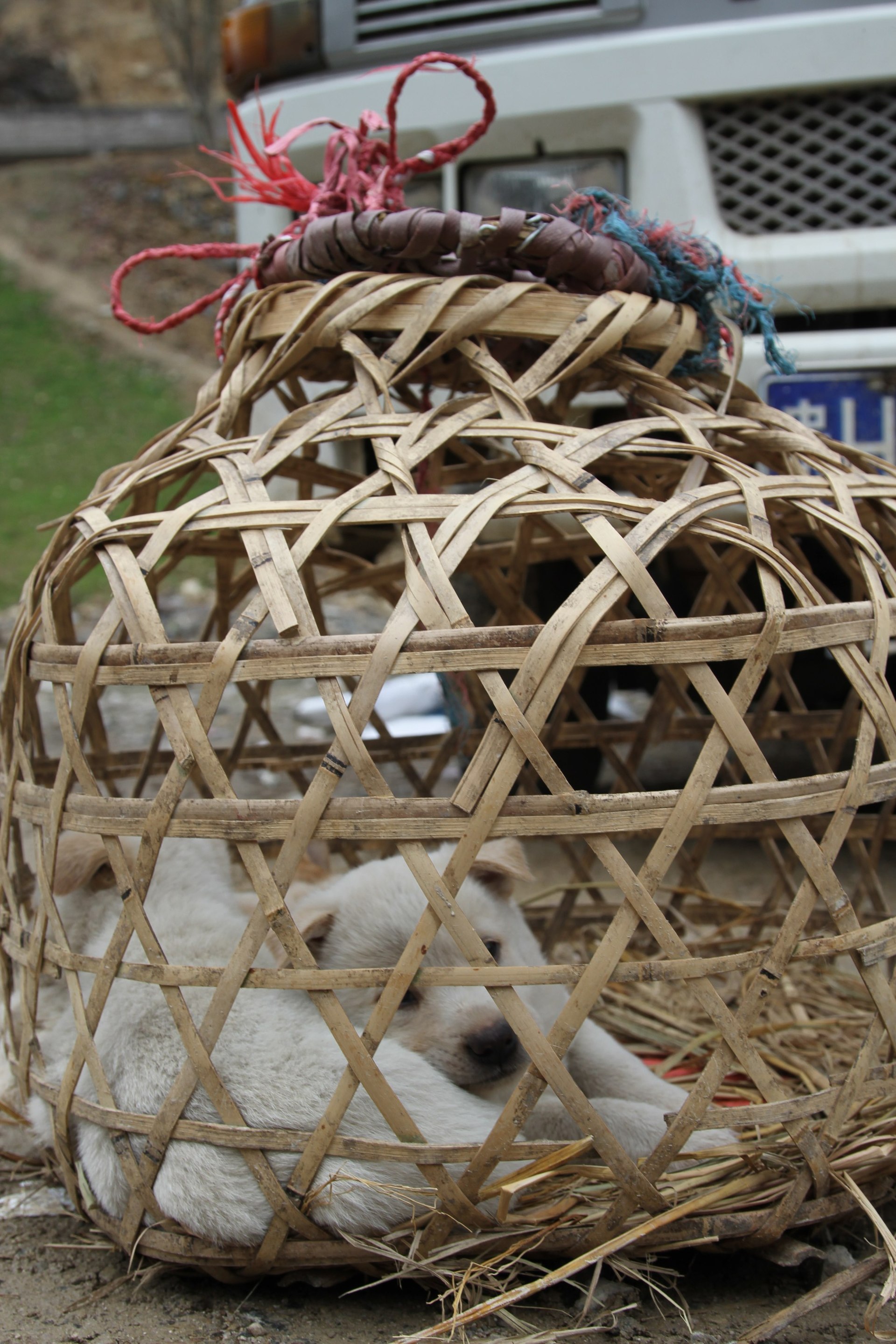 Guizhou photo 5