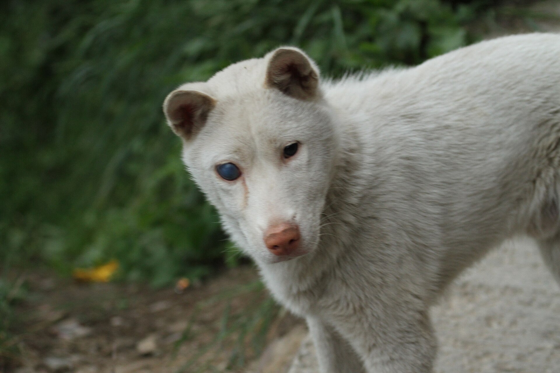 Guizhou photo 6