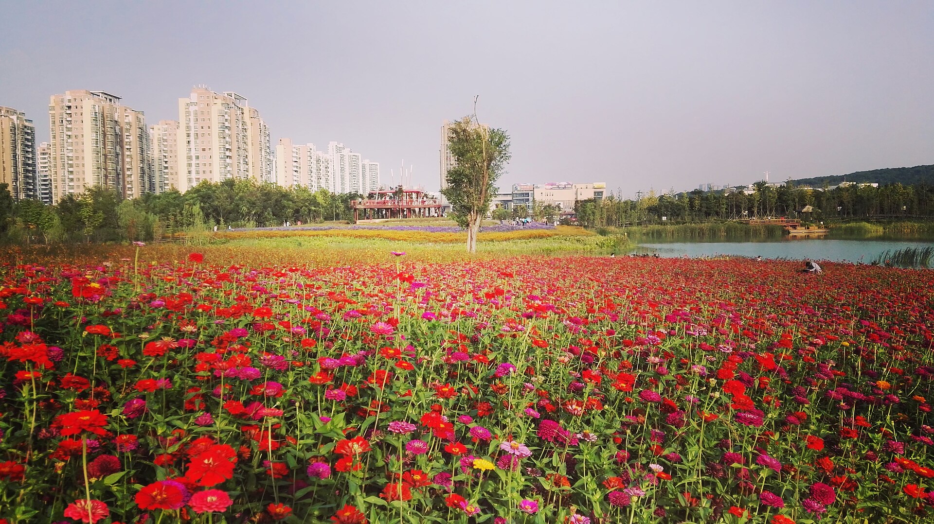 Hefei photo 4