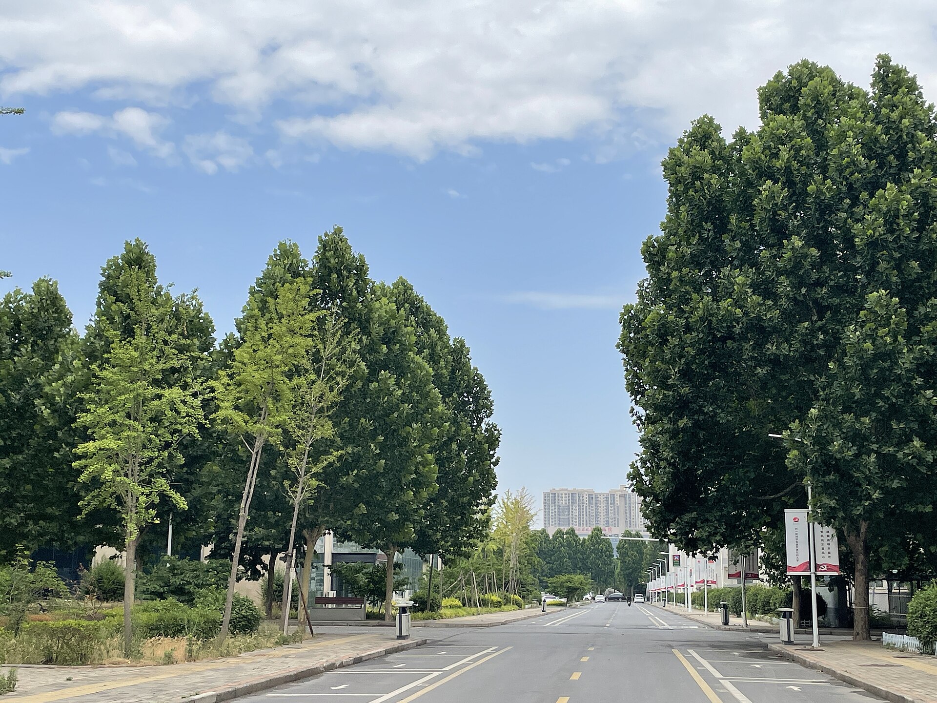 Henan photo 4