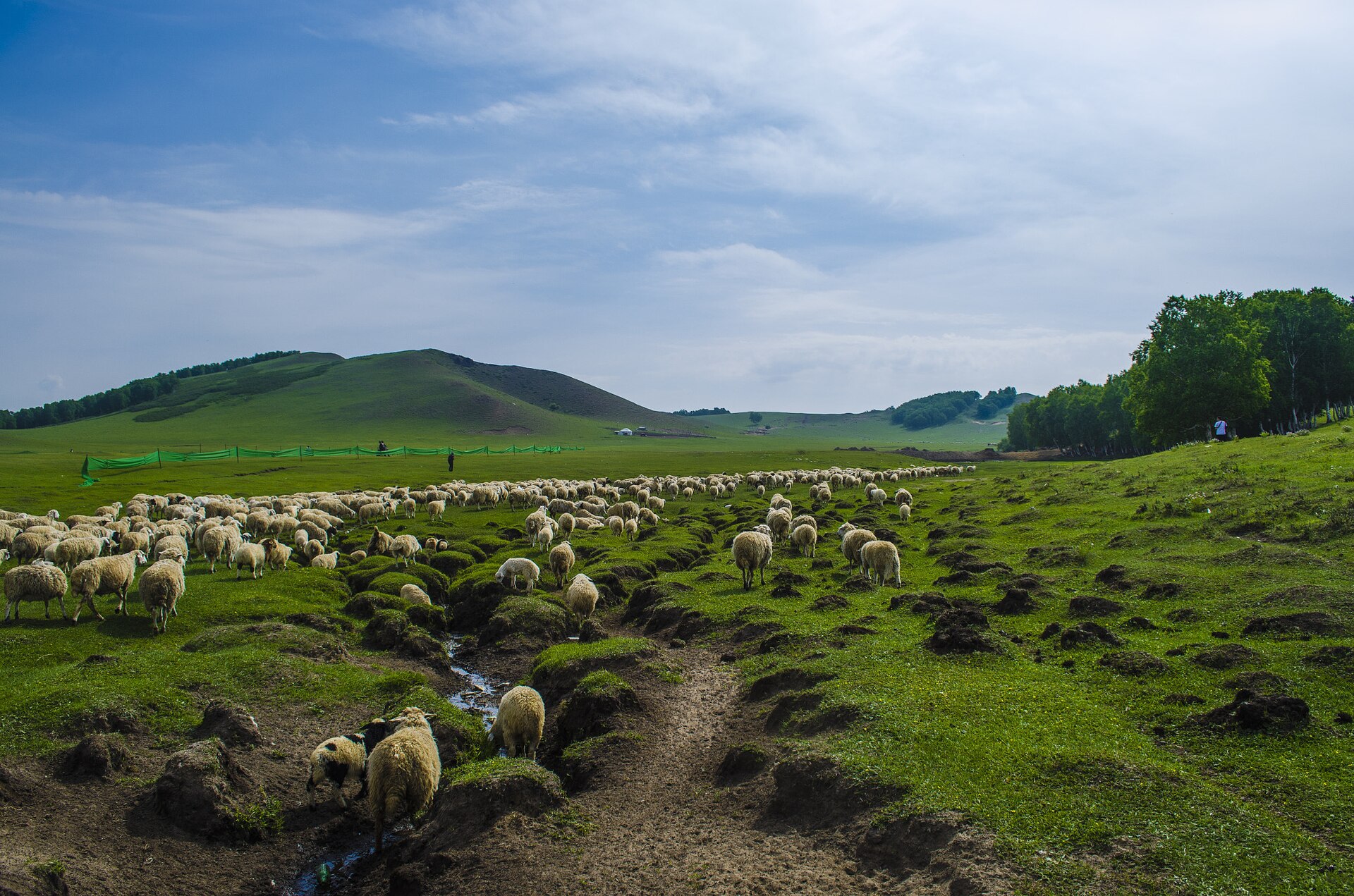 Inner Mongolia photo 1