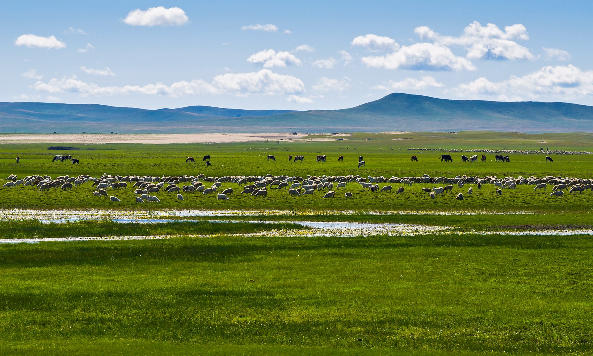 Inner Mongolia photo 2