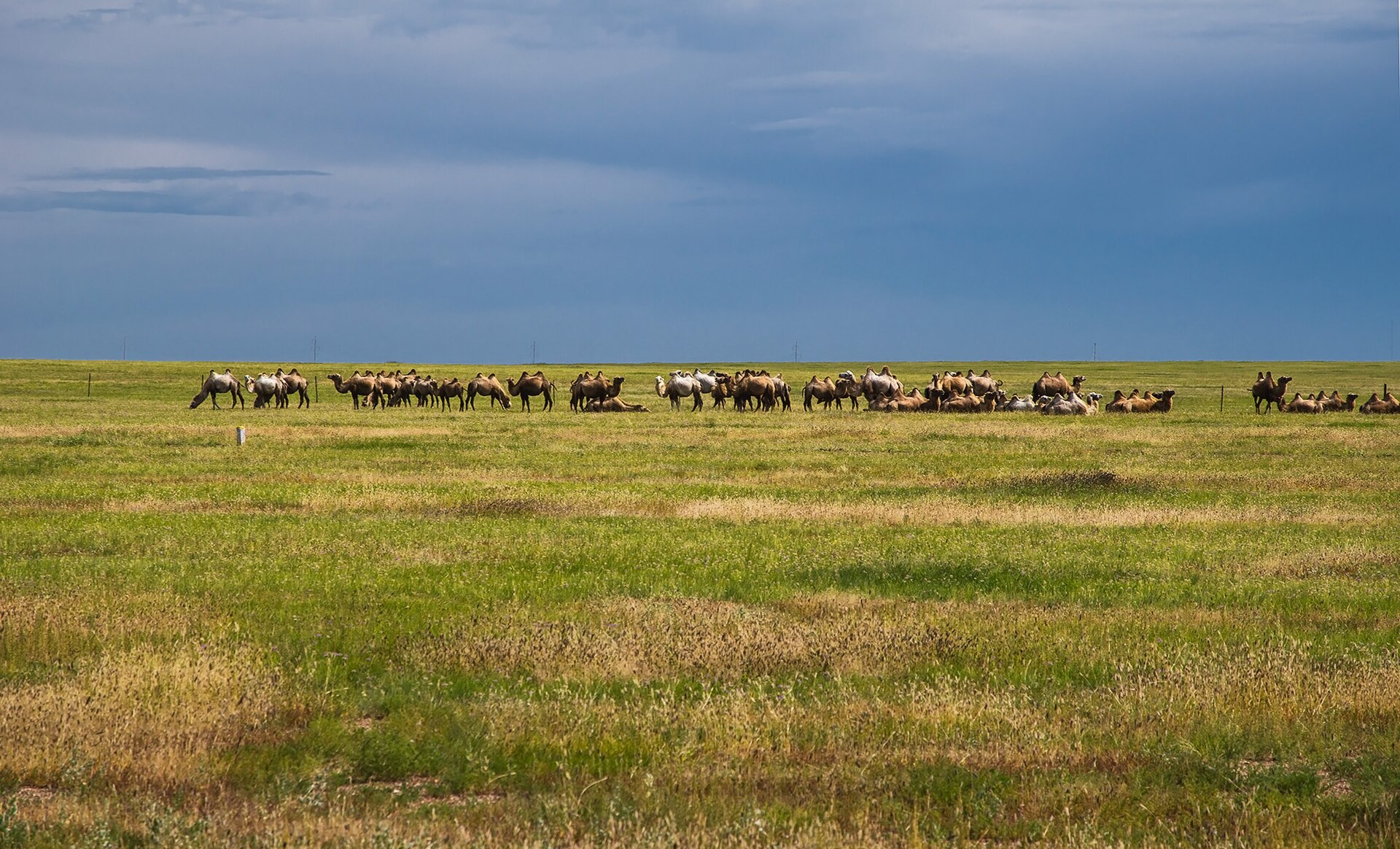 Inner Mongolia photo 3