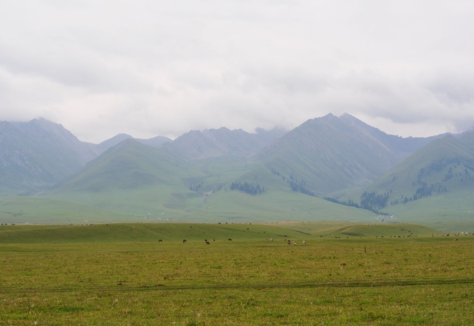 Jilin photo 3