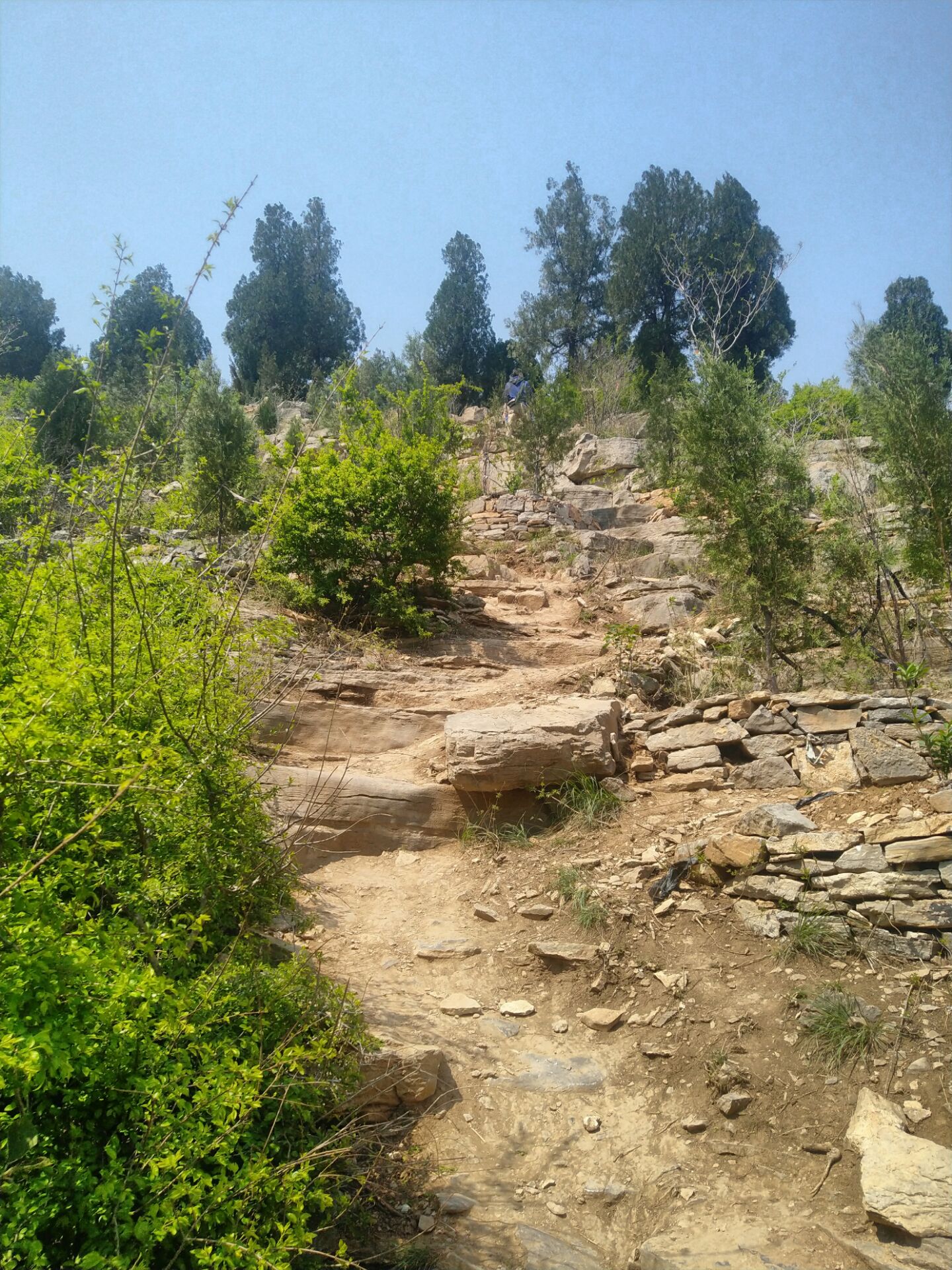 Jinan photo 4