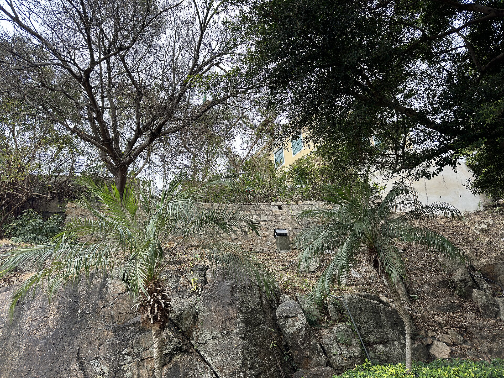 Macao photo 3