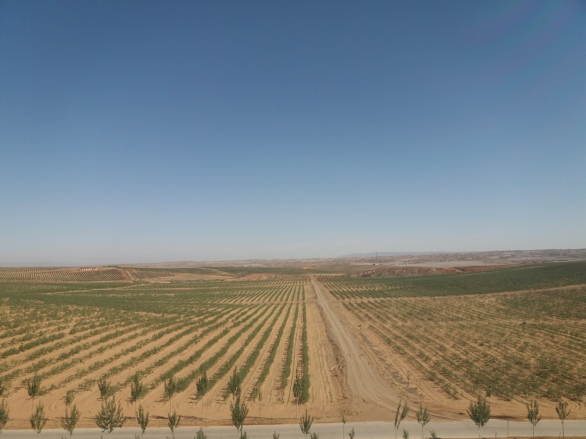 Ningxia photo 5