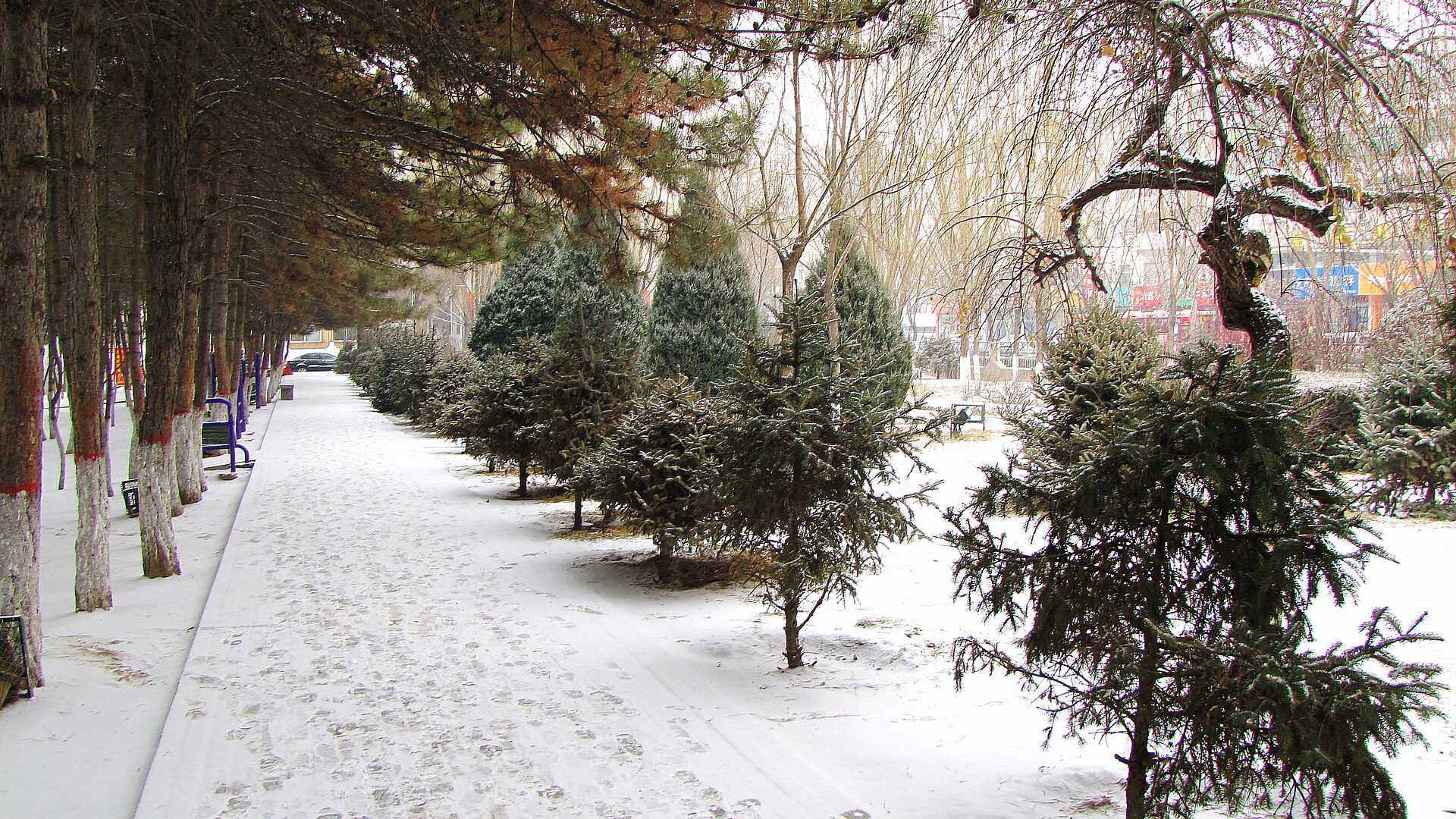 Shaanxi photo 2