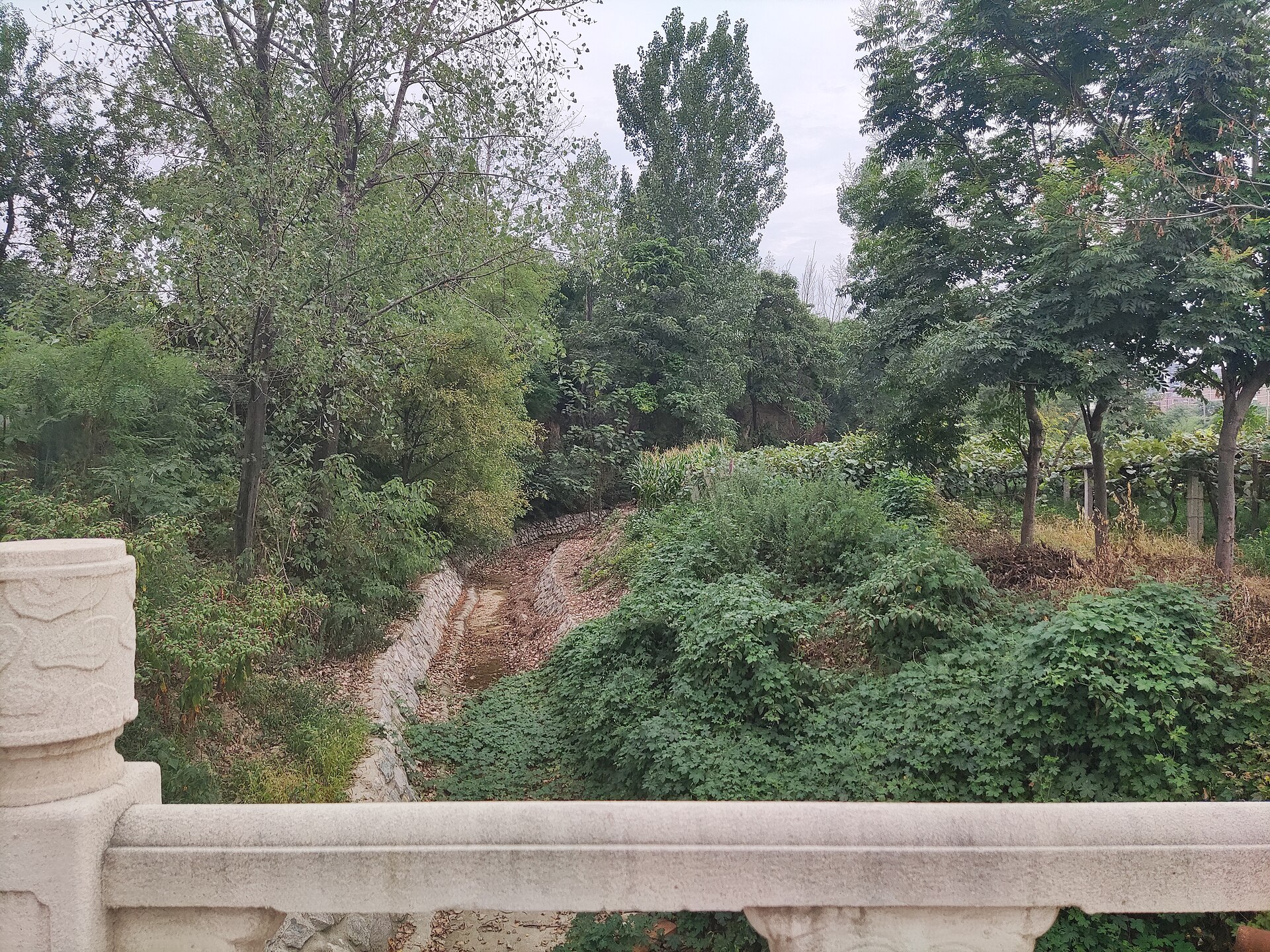 Shaanxi photo 3
