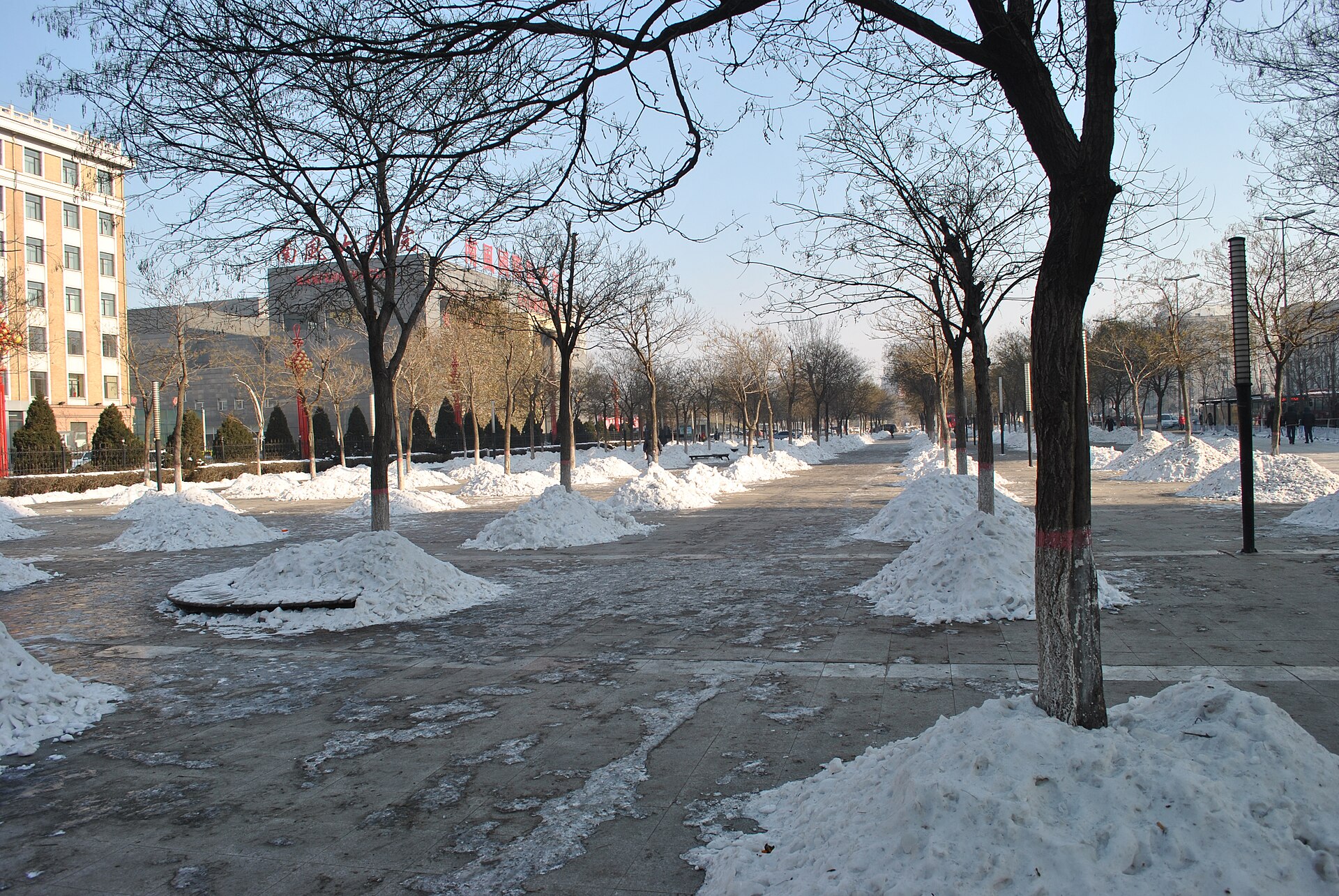 Shenyang photo 6