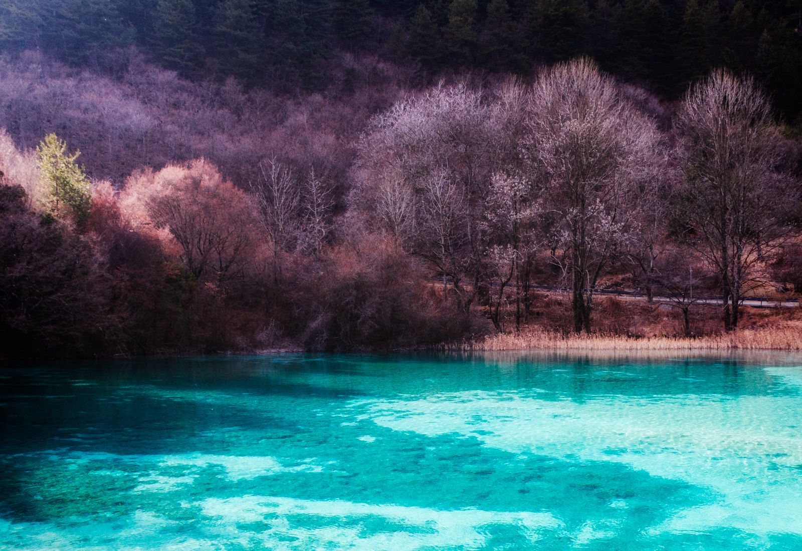Sichuan photo 6