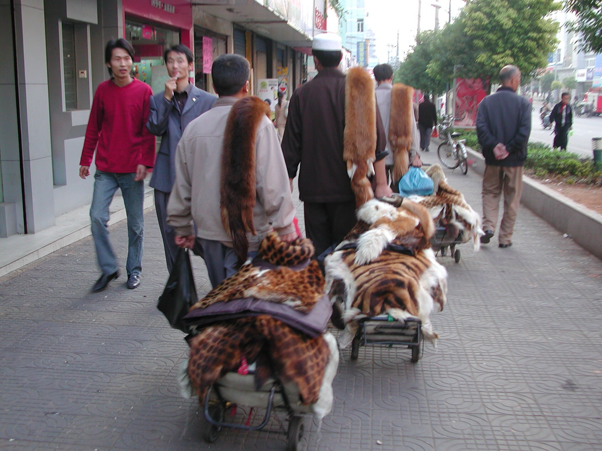 Xinjiang photo 3