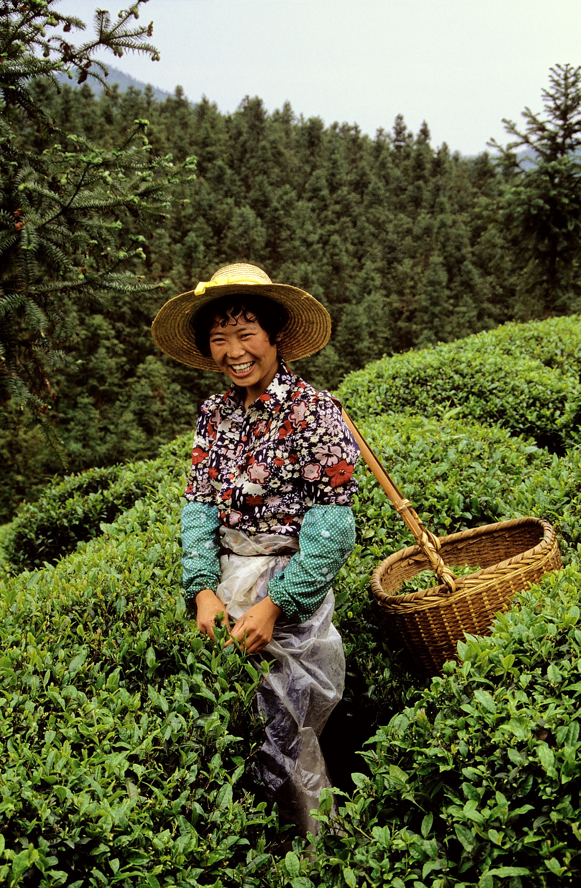 Zhejiang photo 3