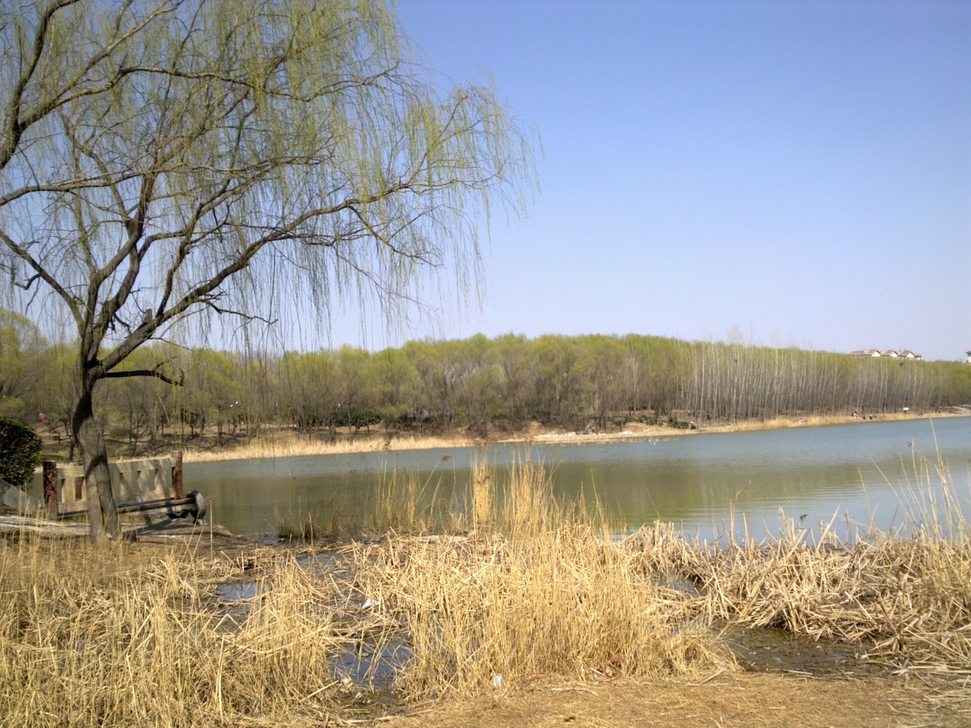 Zhengzhou photo 2