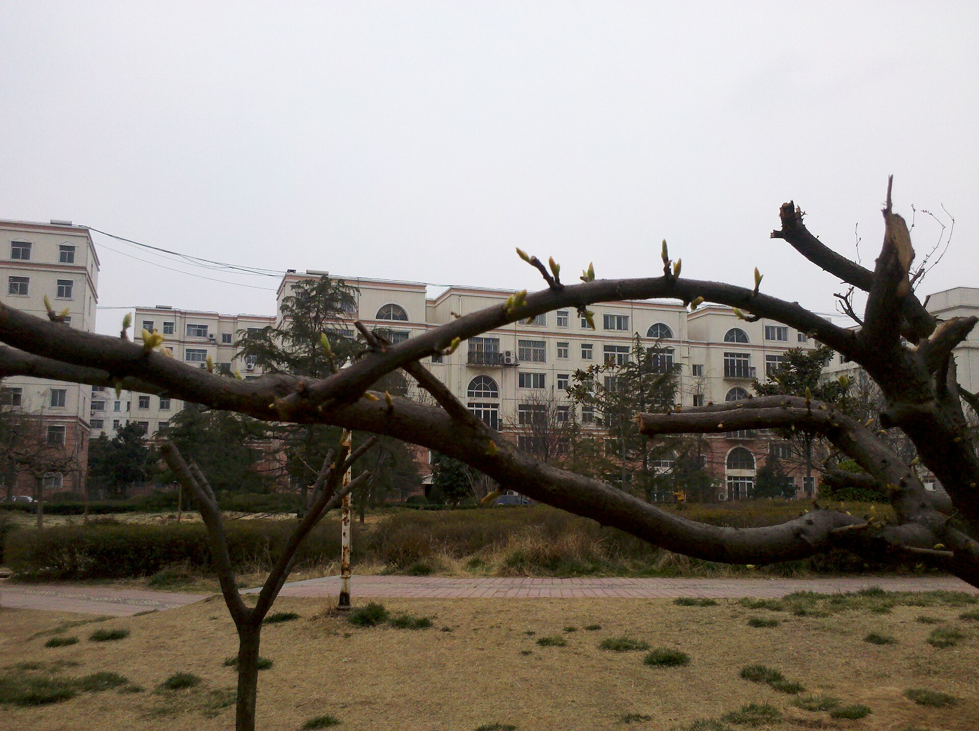 Zhengzhou photo 3